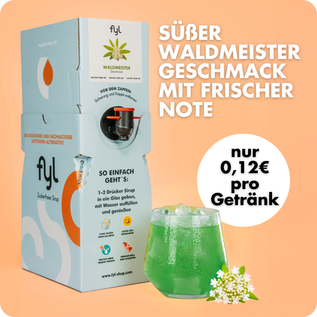 fyl Zuckerfreie Sirupbox