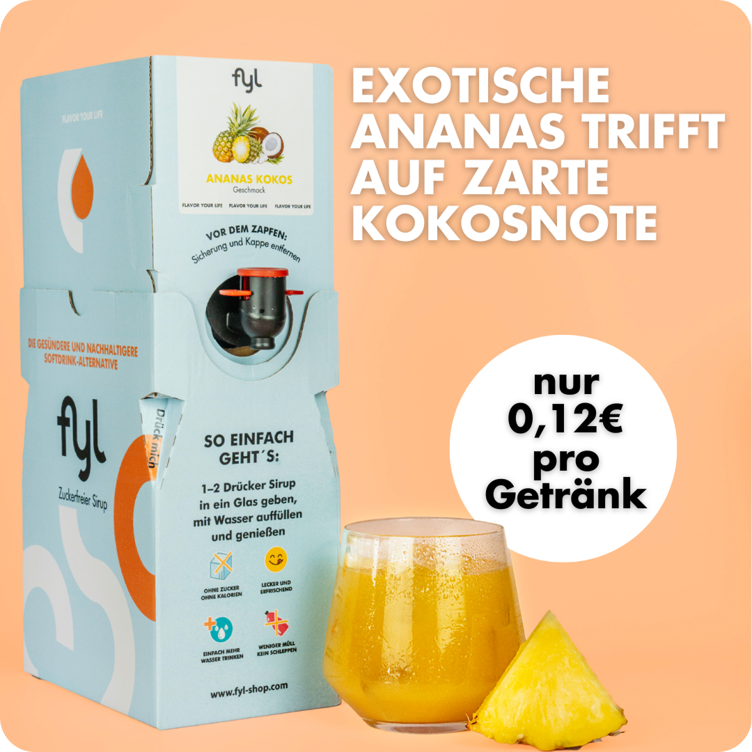 fyl Zuckerfreie Sirupbox