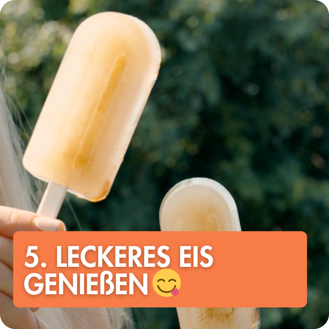 4er Eisformen Set