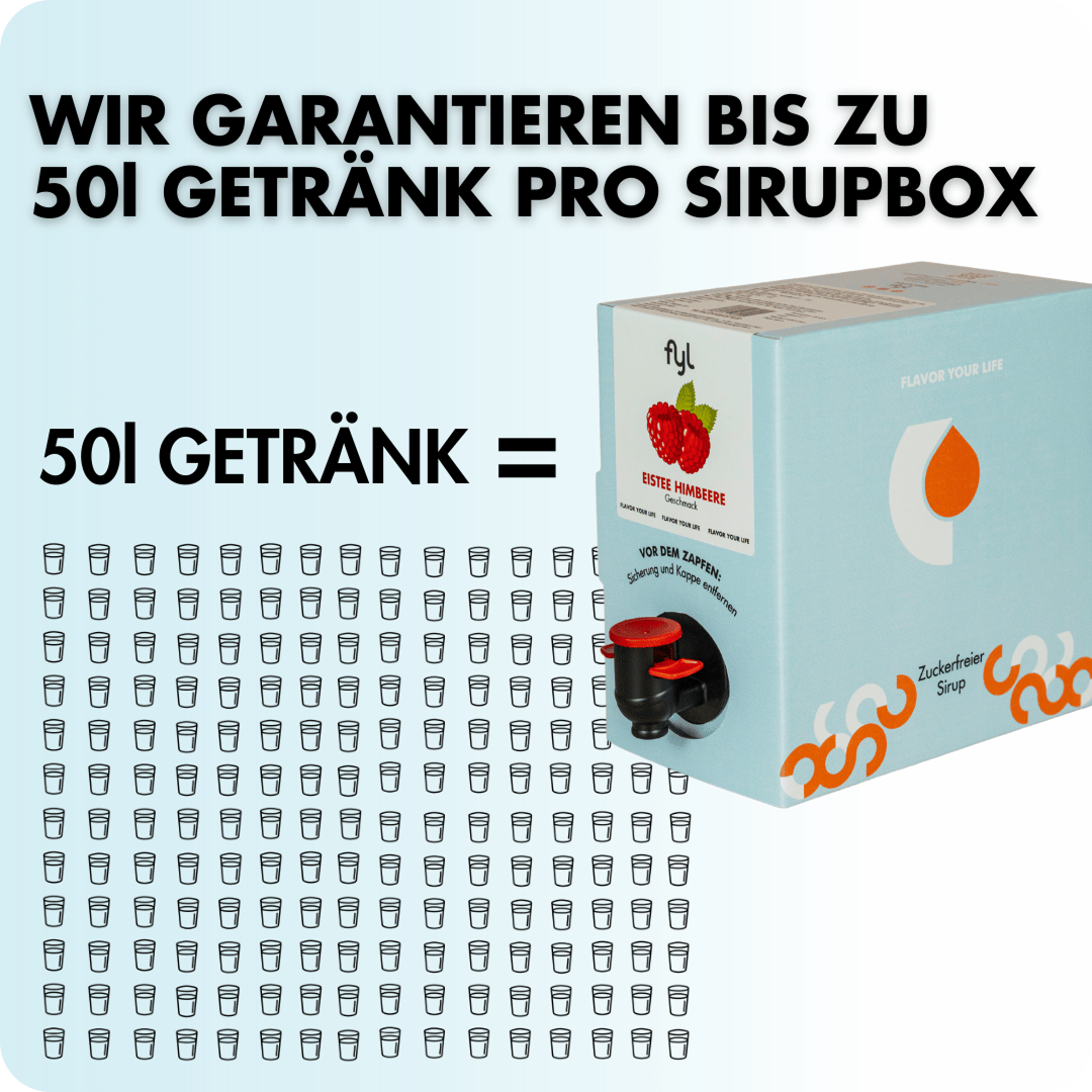 fyl Zuckerfreie Sirupbox