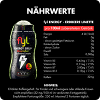 fyl 4+4 Gratis Energy+Klassik