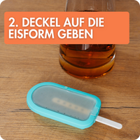 Eisformen Set (4 Stk.)