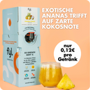 fyl Zuckerfreie Sirupbox