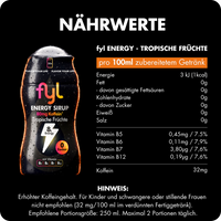 fyl 4+4 Gratis Energy+Klassik