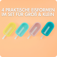 Eisformen Set (4 Stk.)