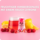 fyl Zuckerfreier Sirup