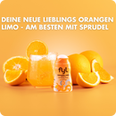 fyl Zuckerfreier Sirup